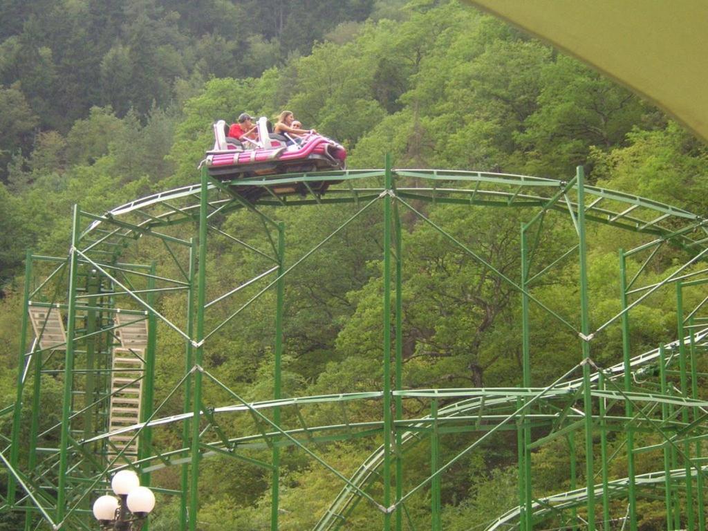 Day In Borjomi Lejlighed Eksteriør billede